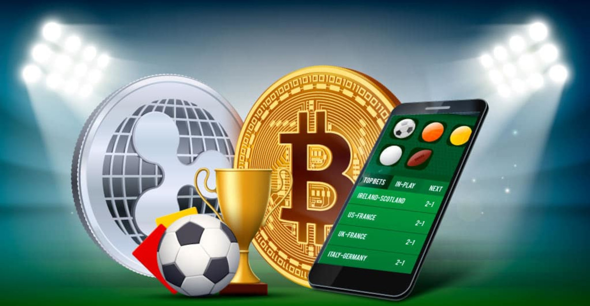 Top Casino Software with Random Features 13
